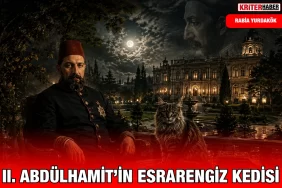 ıı.hamid_kedi_ry_kriter_haber