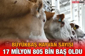 buyukbas_sayi_kriter_habe