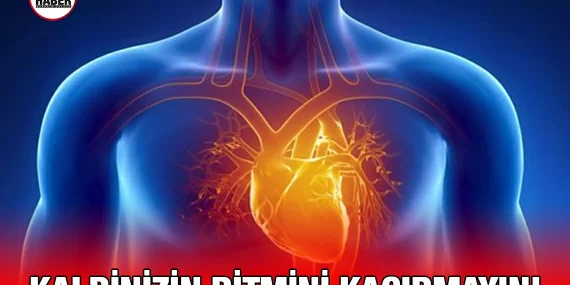 Balıkesir İl Sağlık Müdürlüğü Kalp Hastalıklarına Dikkat Çekti