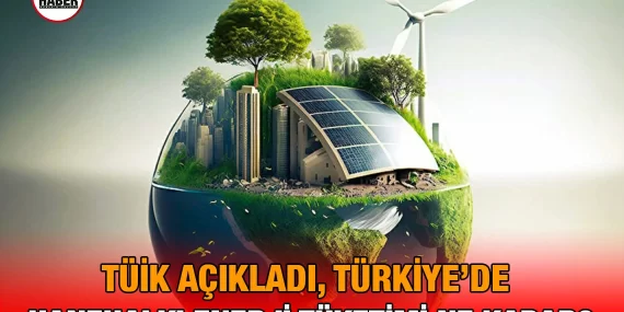 Hanehalkı Nihai Enerji Tüketim İstatistikleri-2025