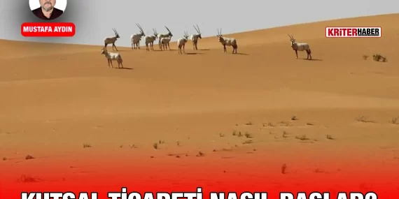 ma_kutsal_kriter_haber