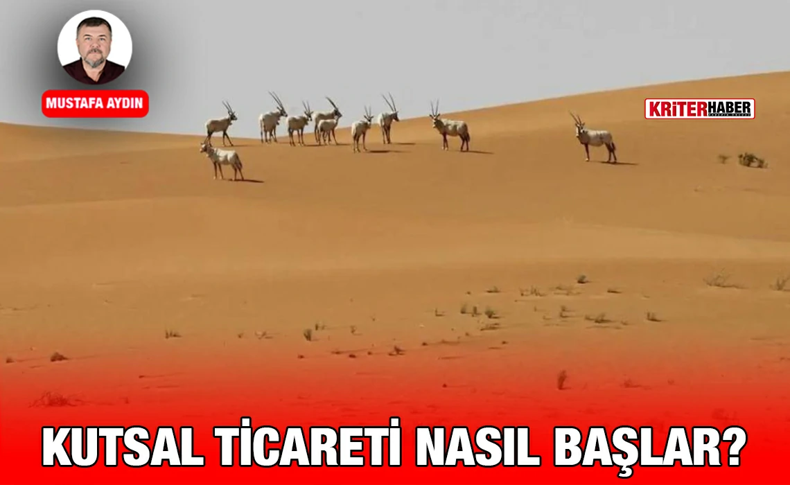 ma_kutsal_kriter_haber