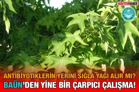 sıgla_kriter_haber