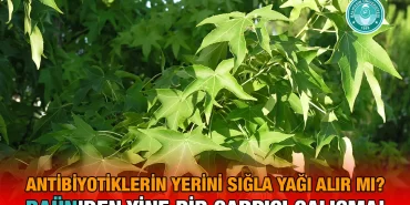 sıgla_kriter_haber