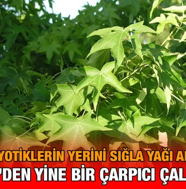 sıgla_kriter_haber