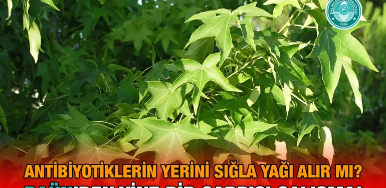 sıgla_kriter_haber