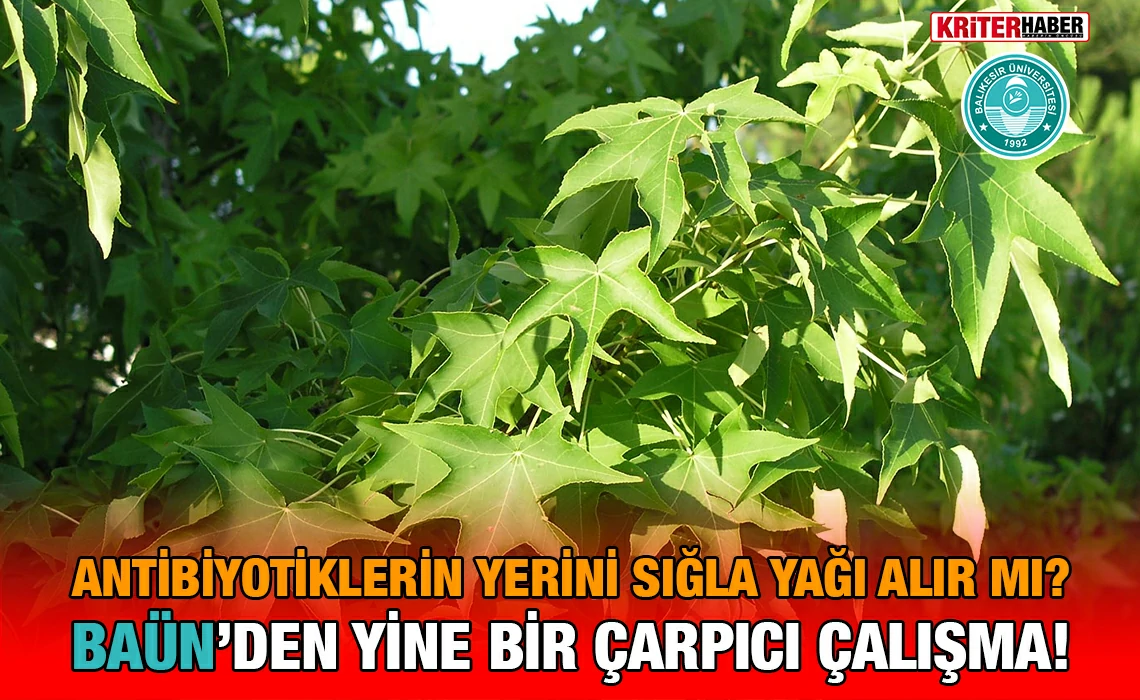 sıgla_kriter_haber